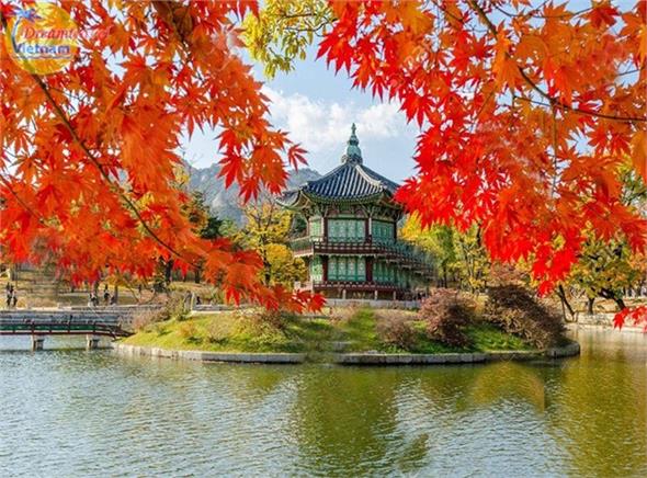 Du Lịch Hàn Quốc MÙA THU LÁ ĐỎ 2019-Đặt Càng Sớm - Giá Càng Rẻ Du Lịch Hàn Quốc MÙA THU LÁ ĐỎ 2019-Đặt Càng Sớm - Giá Càng Rẻ